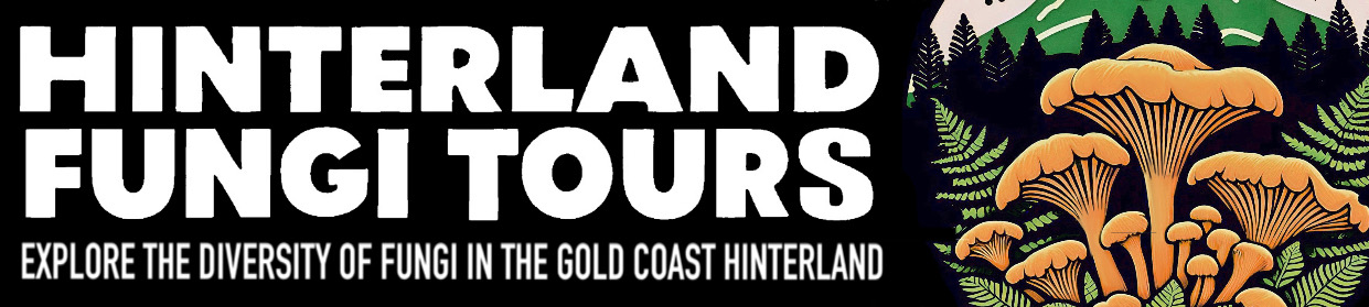 Hinterland Fungi Tours