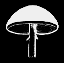 Mushroom Icon