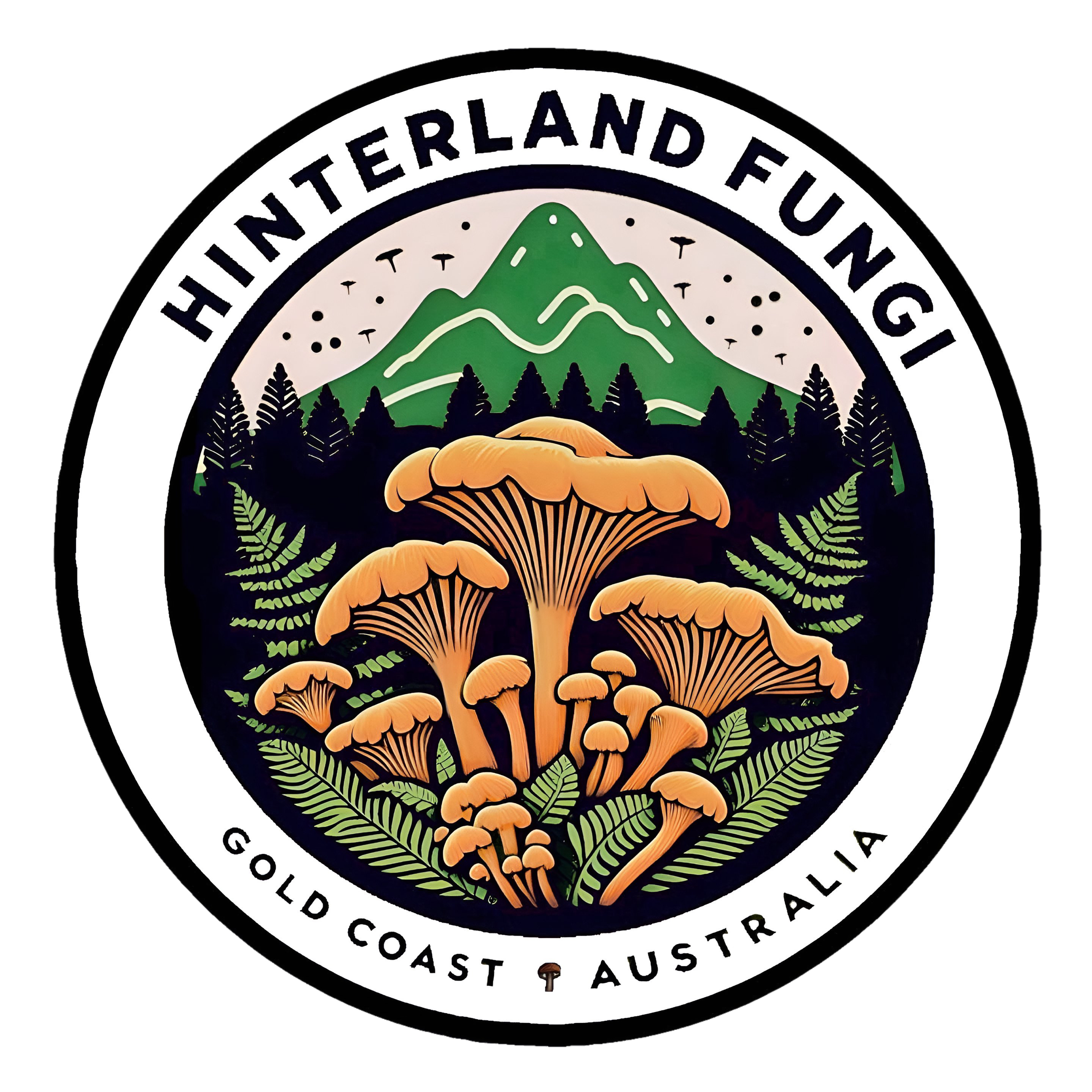 Hinterland Fungi Logo